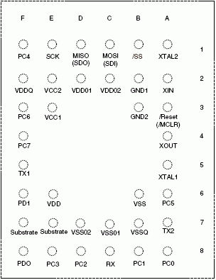     LBGA36