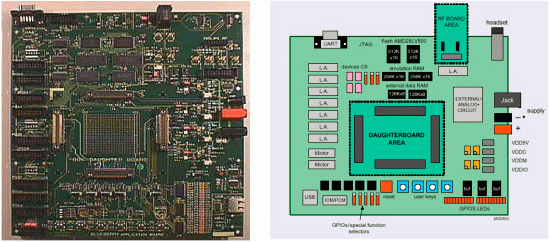      Blueberry Developers Kit